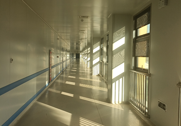 鸡巴日逼又快又刺激免费